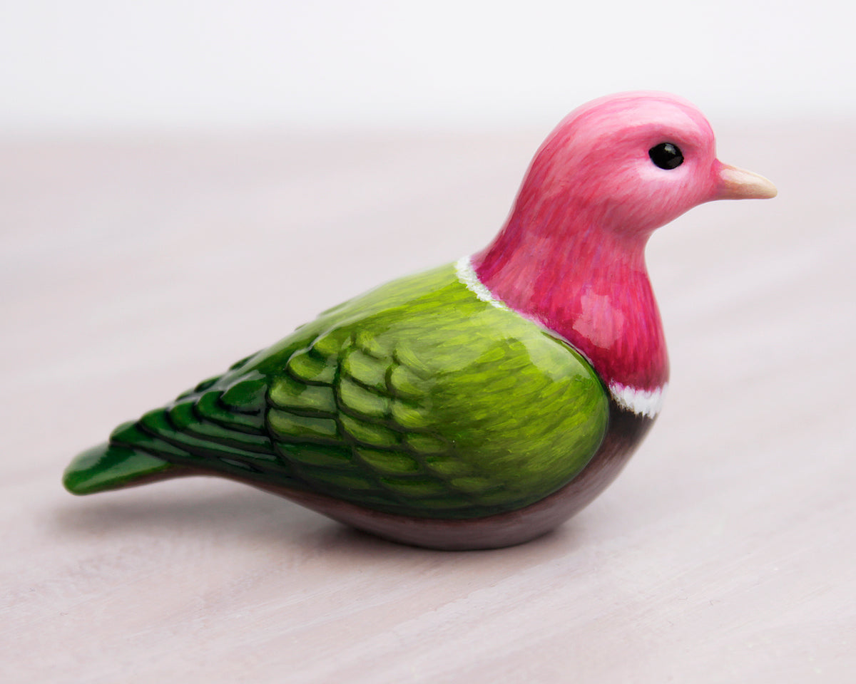 Fruit dove 2024