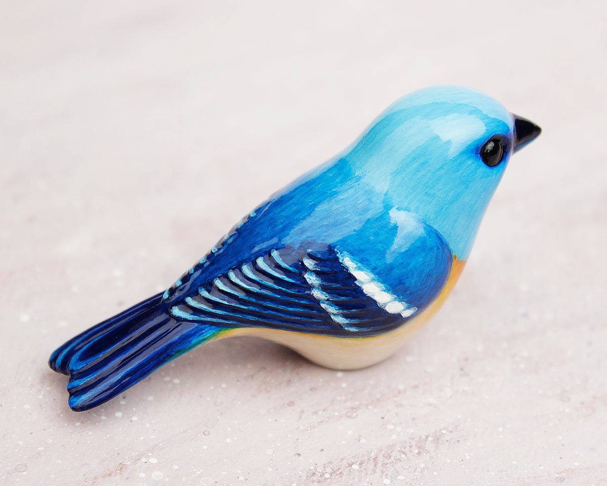 Lazuli bunting – byrdis
