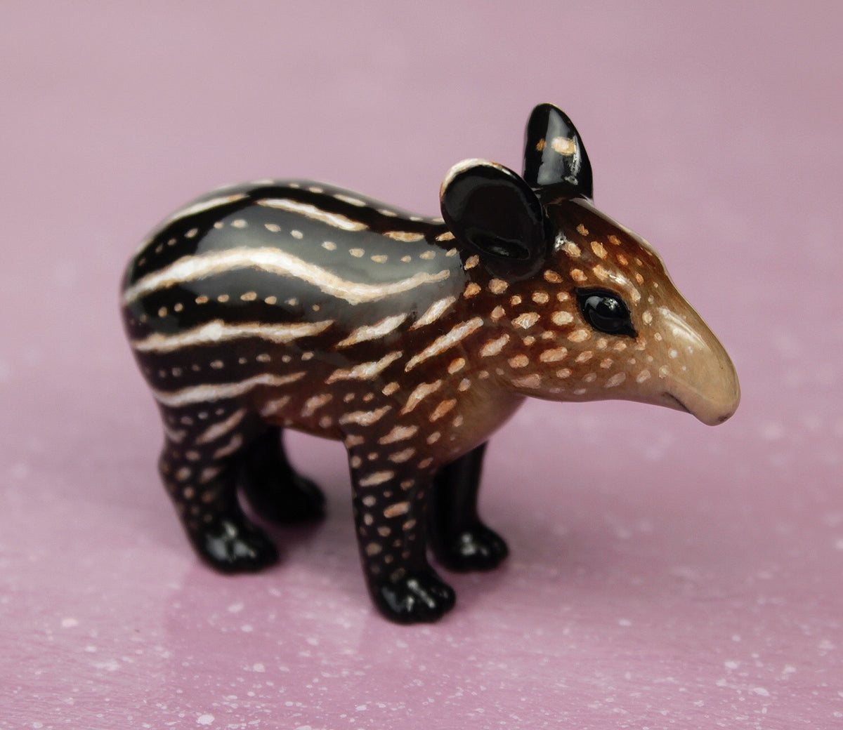Brown tapir – byrdis