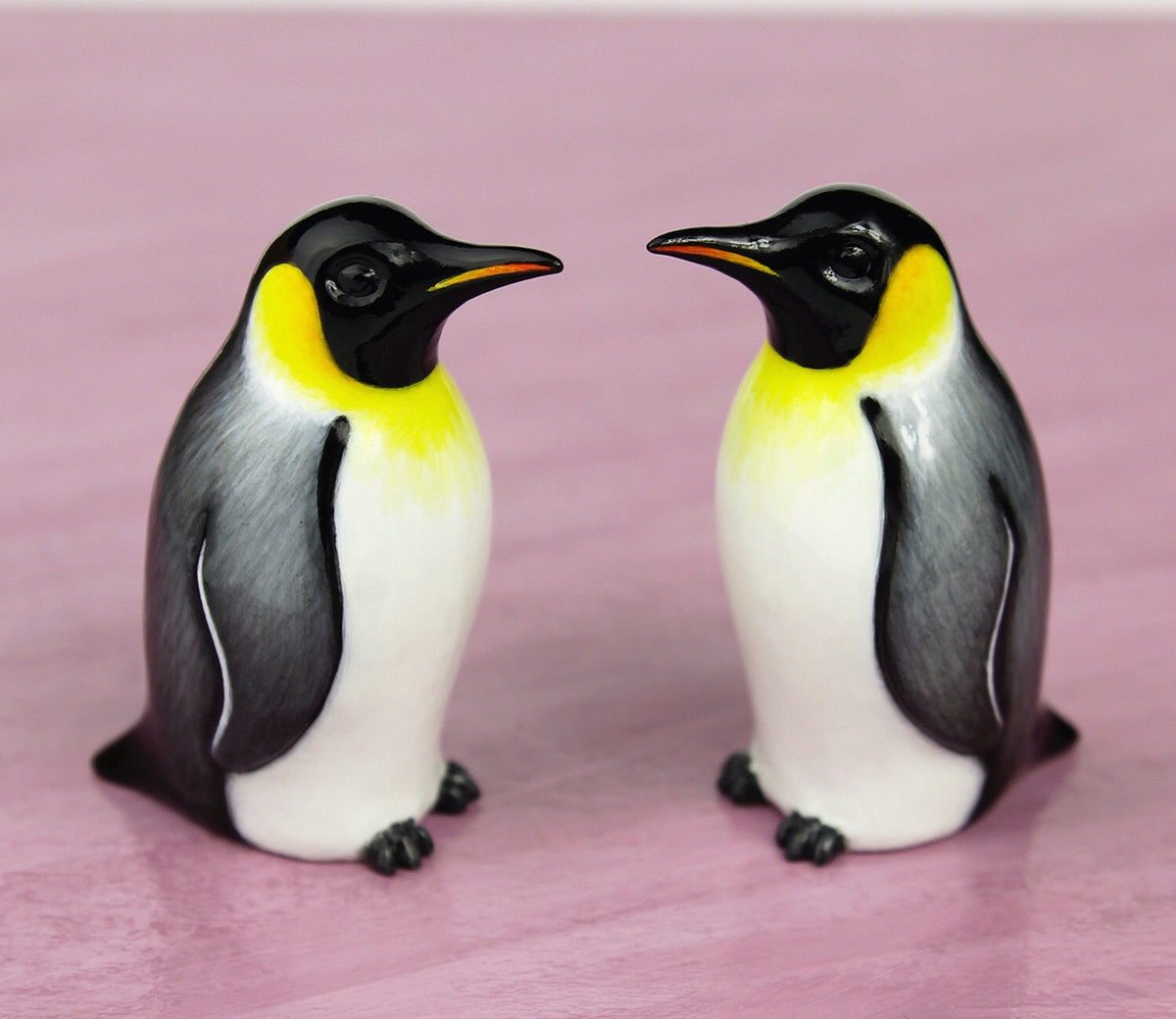 Emperor penguin – byrdis
