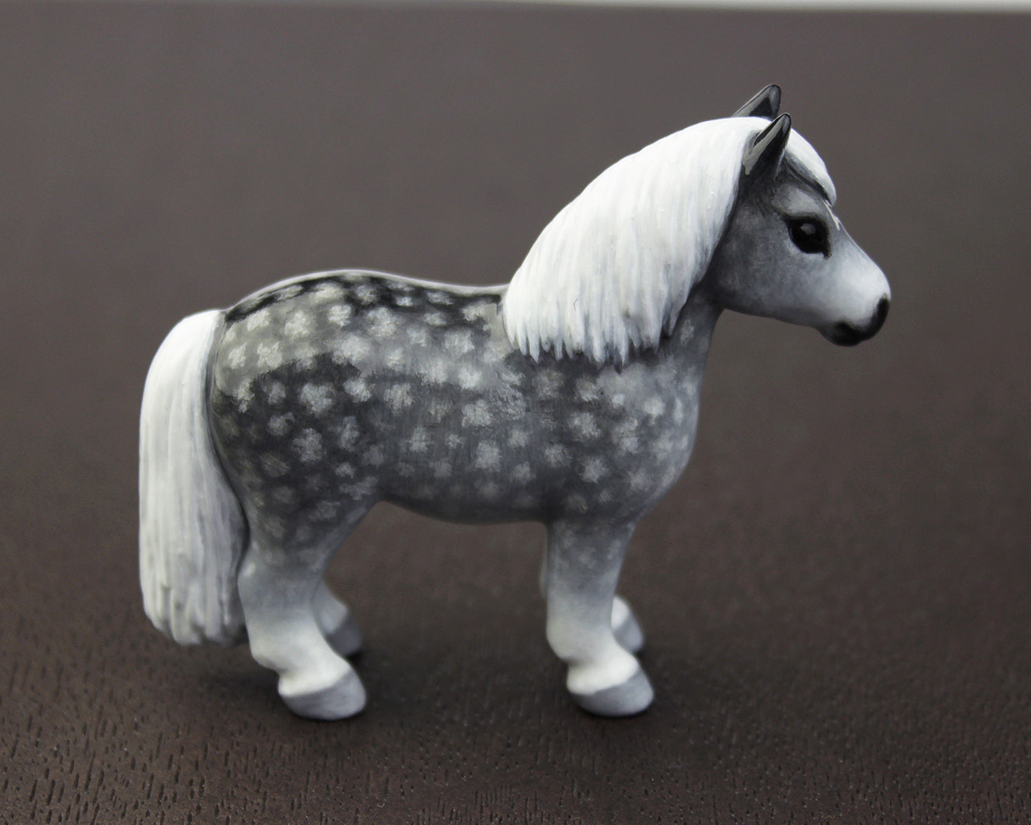 dapple grey pony with white mane