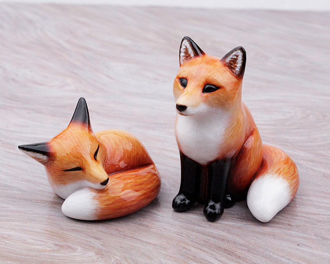 sitting red fox
