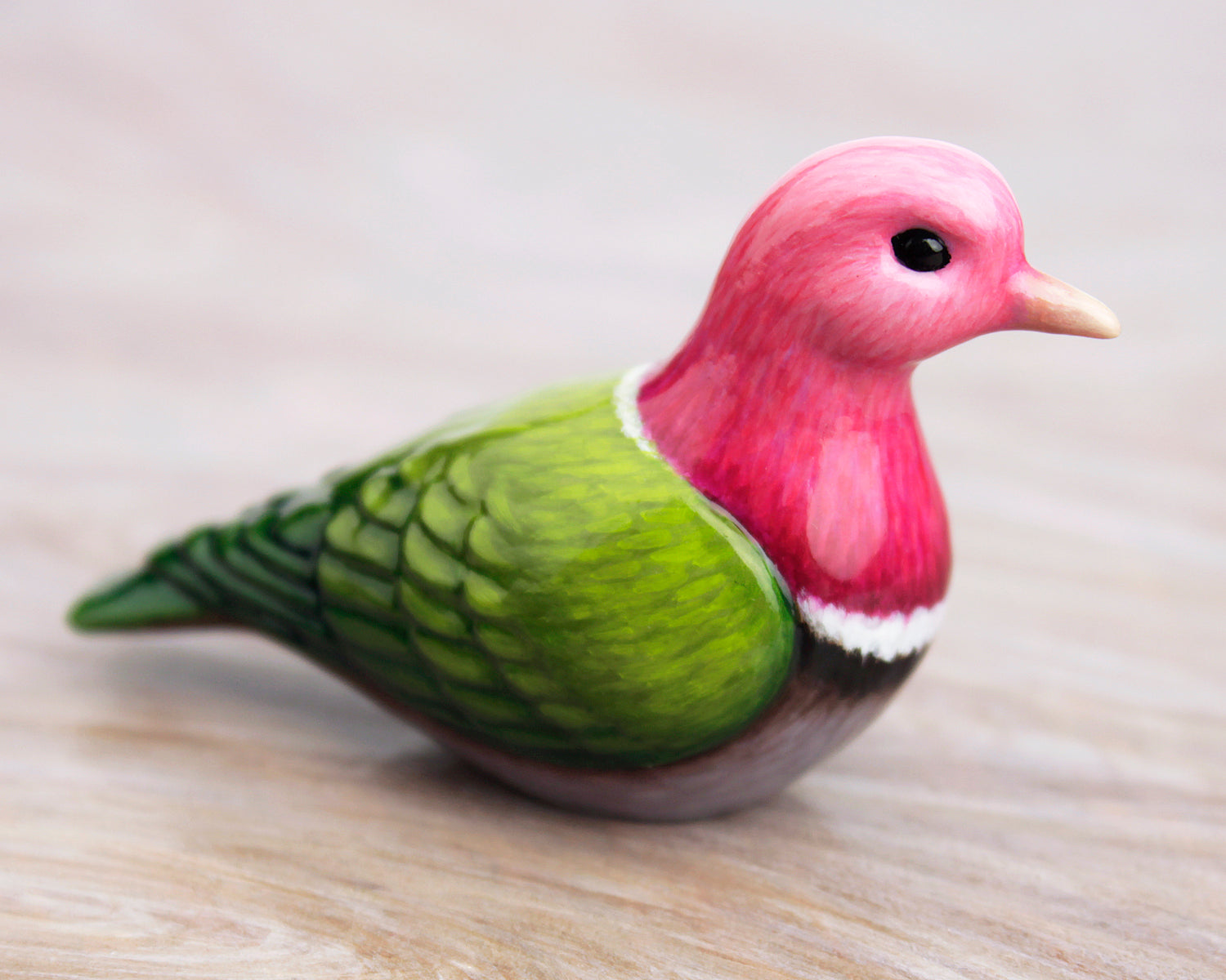 pink-headed fruit-dove