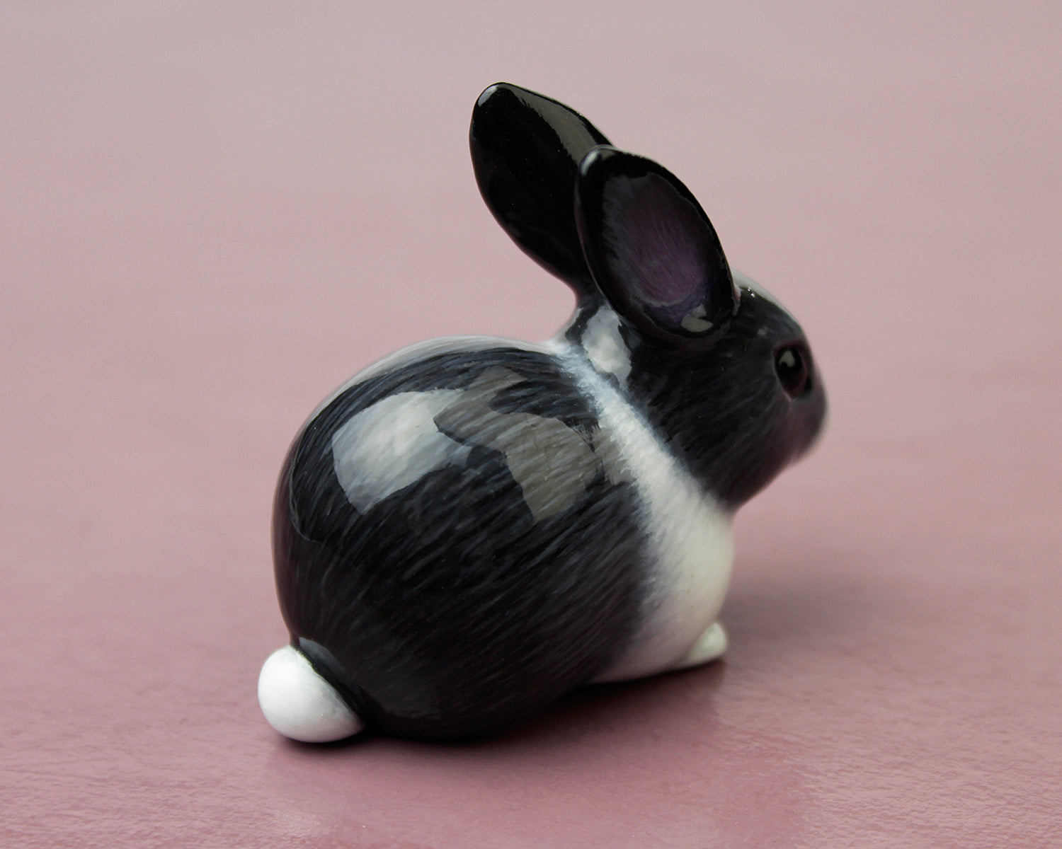 grey piebald rabbit
