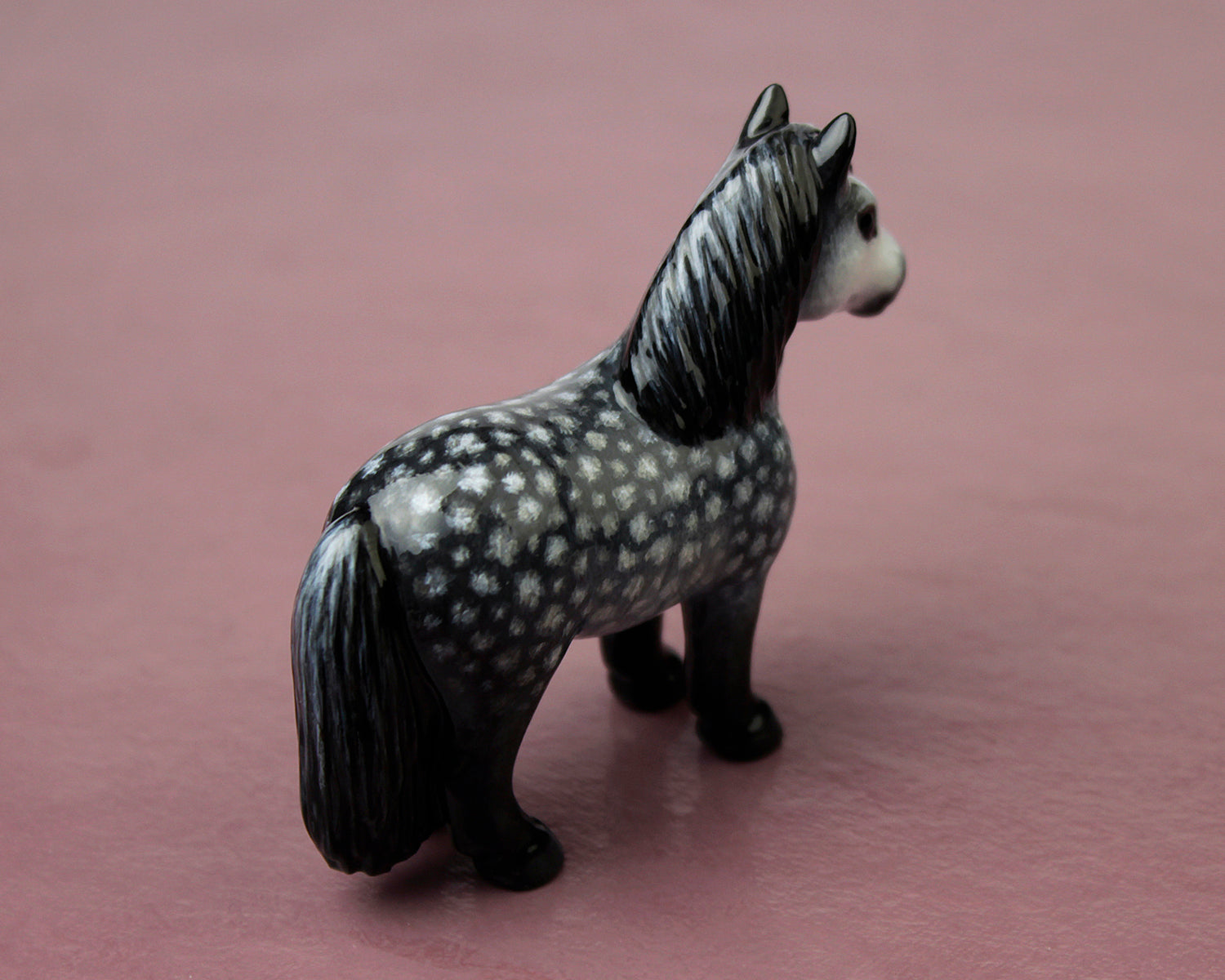 dapple grey pony with black mane