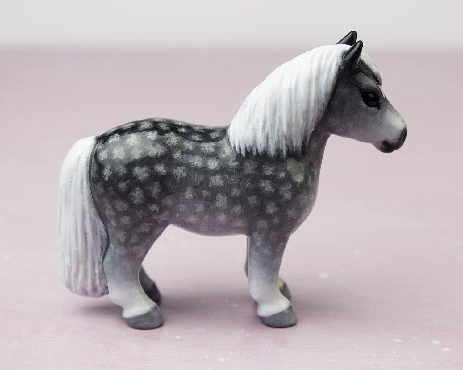 dapple grey pony with white mane