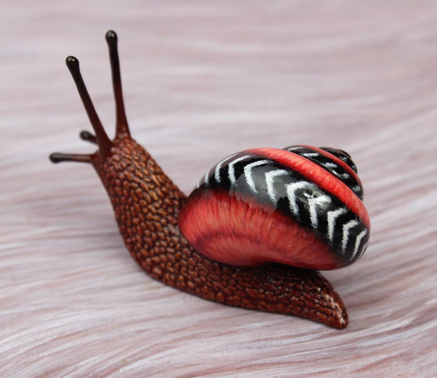 Red snail – byrdis