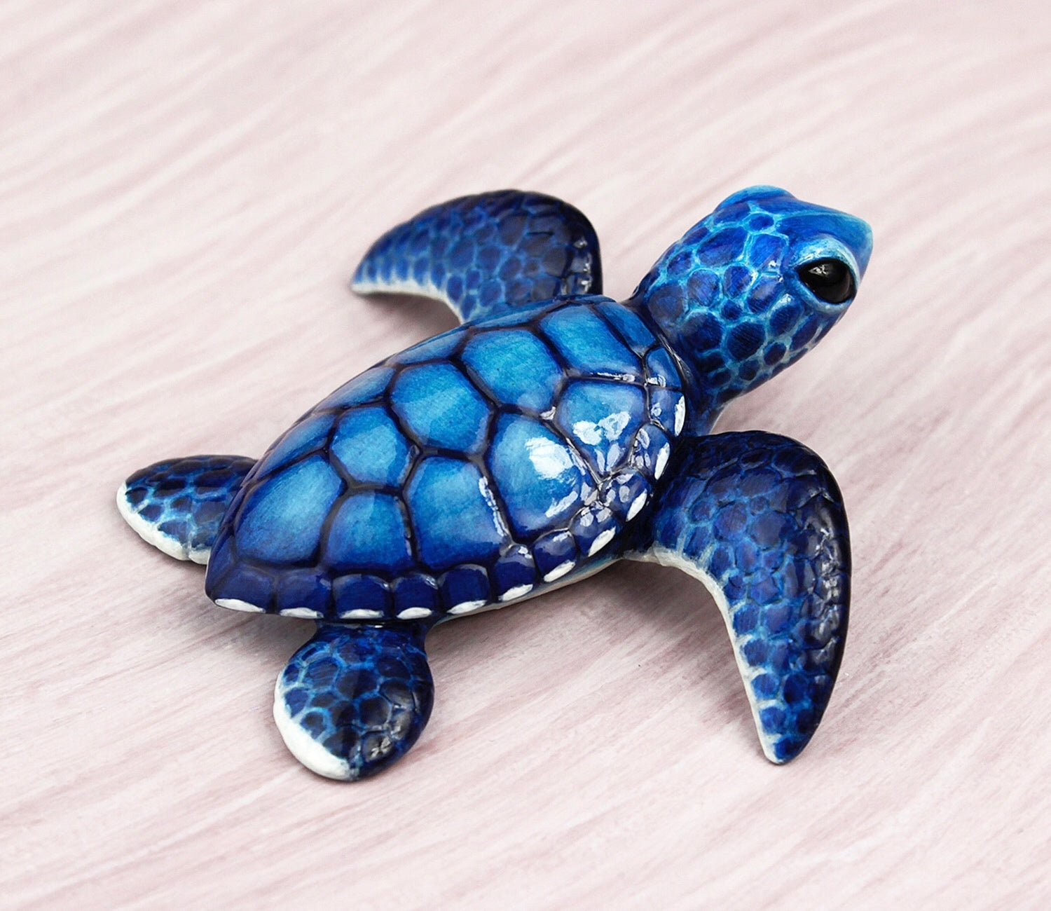 Blue turtle