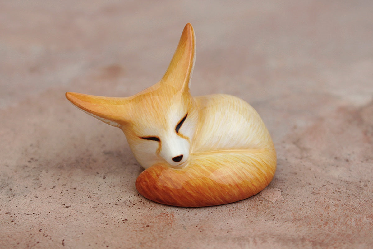 Sleeping fennec fox