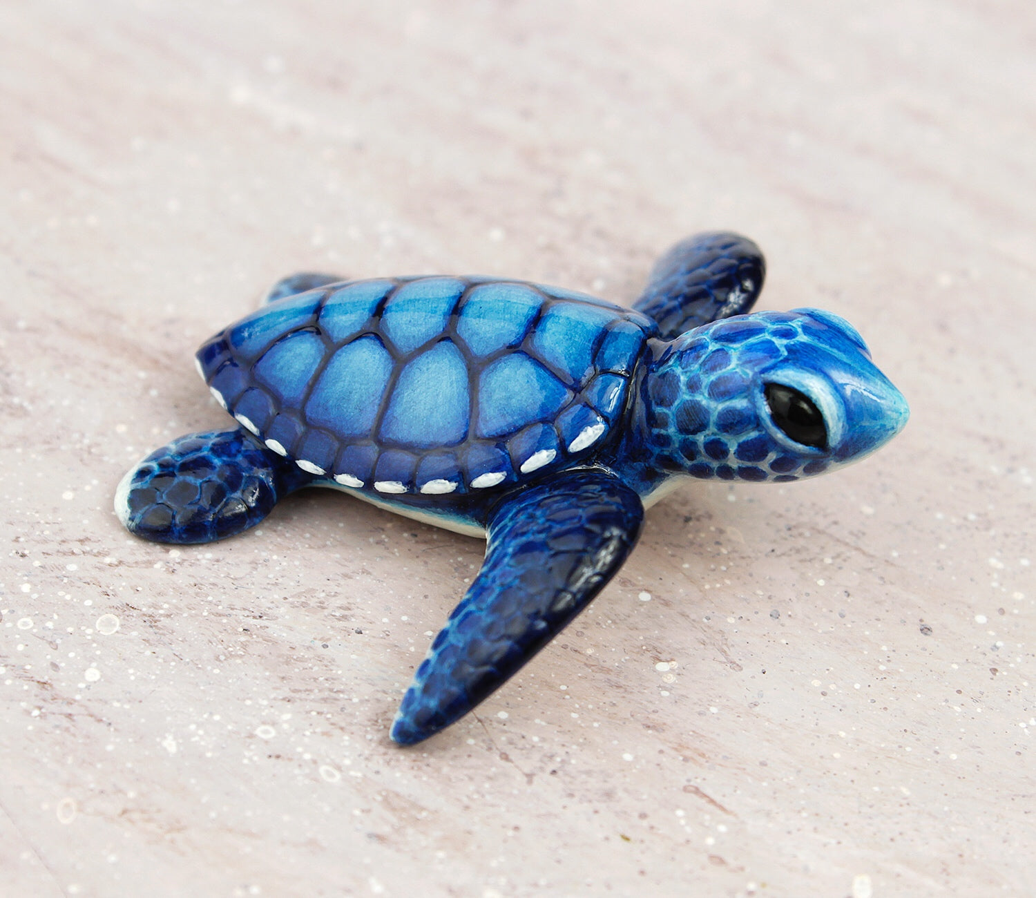 Blue Baby Turtles