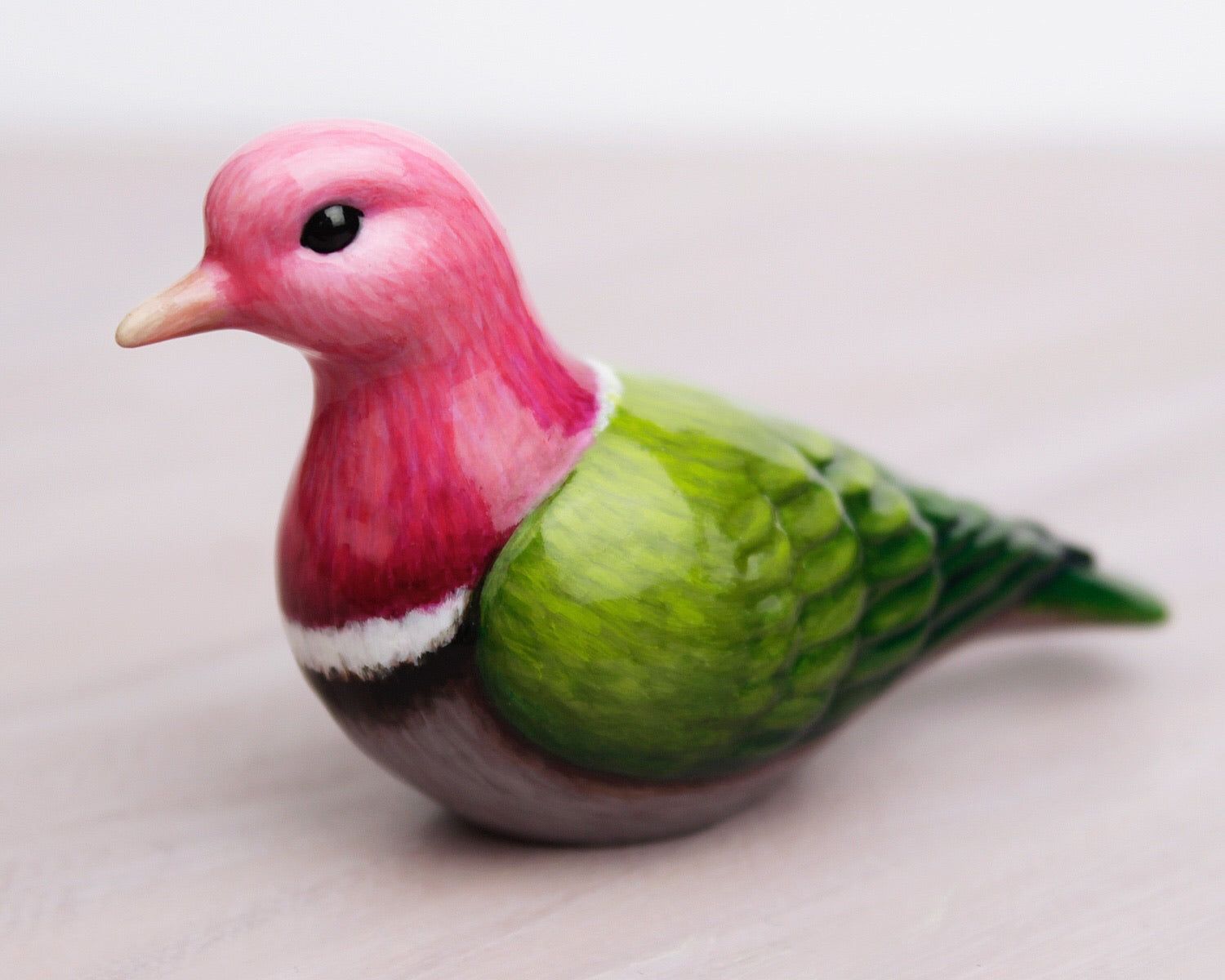 pink-headed fruit-dove