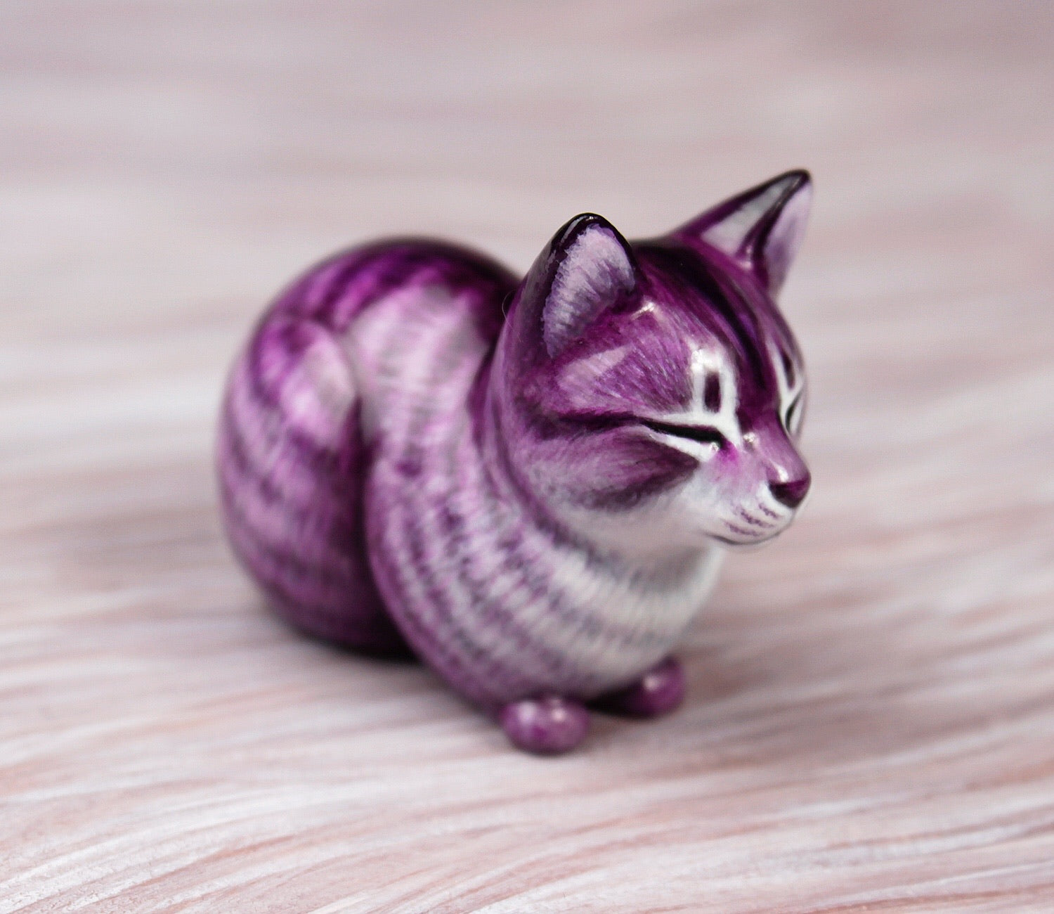 Purple tabby cat