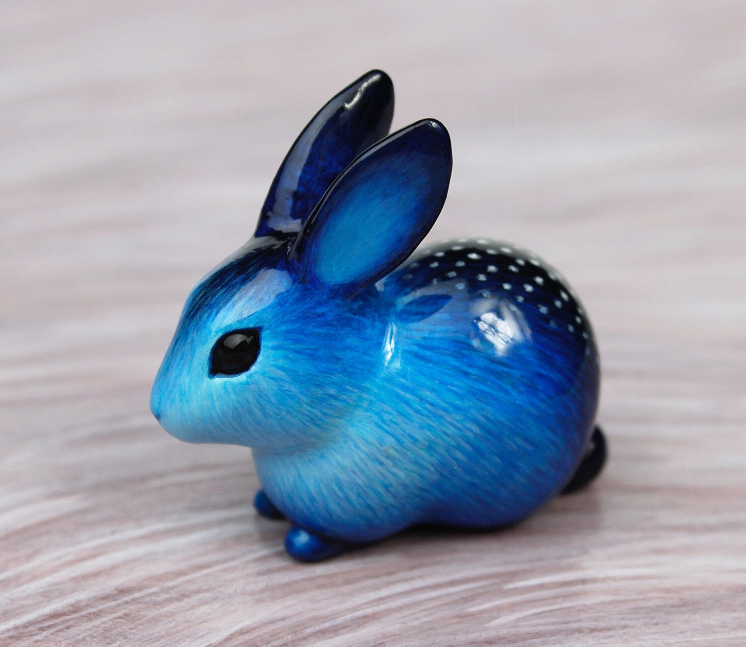 Blue spotted rabbit