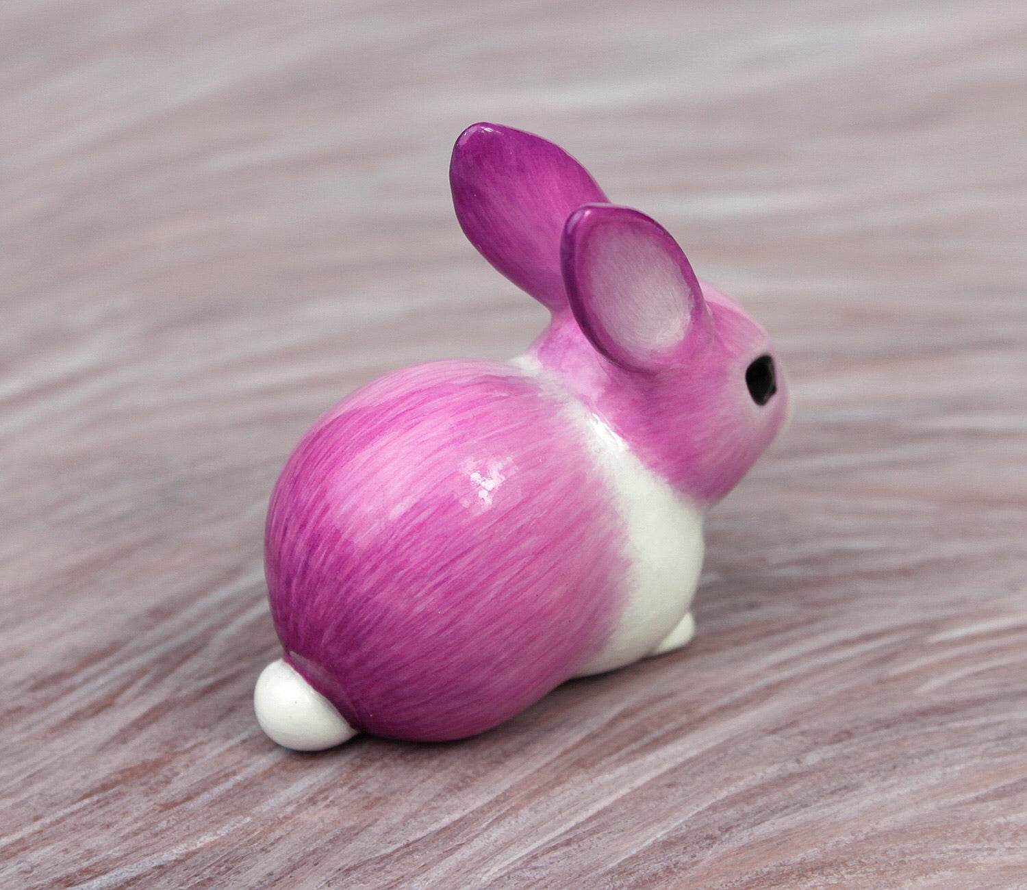 Pink piebald rabbit