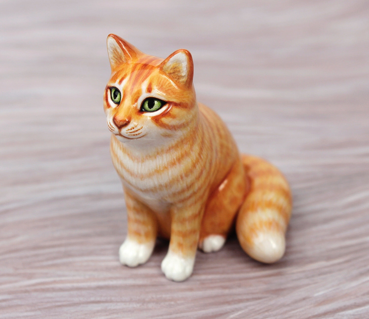 Sitting orange cat