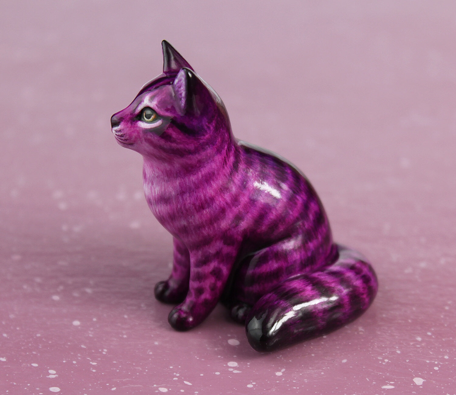 Purple tabby cat