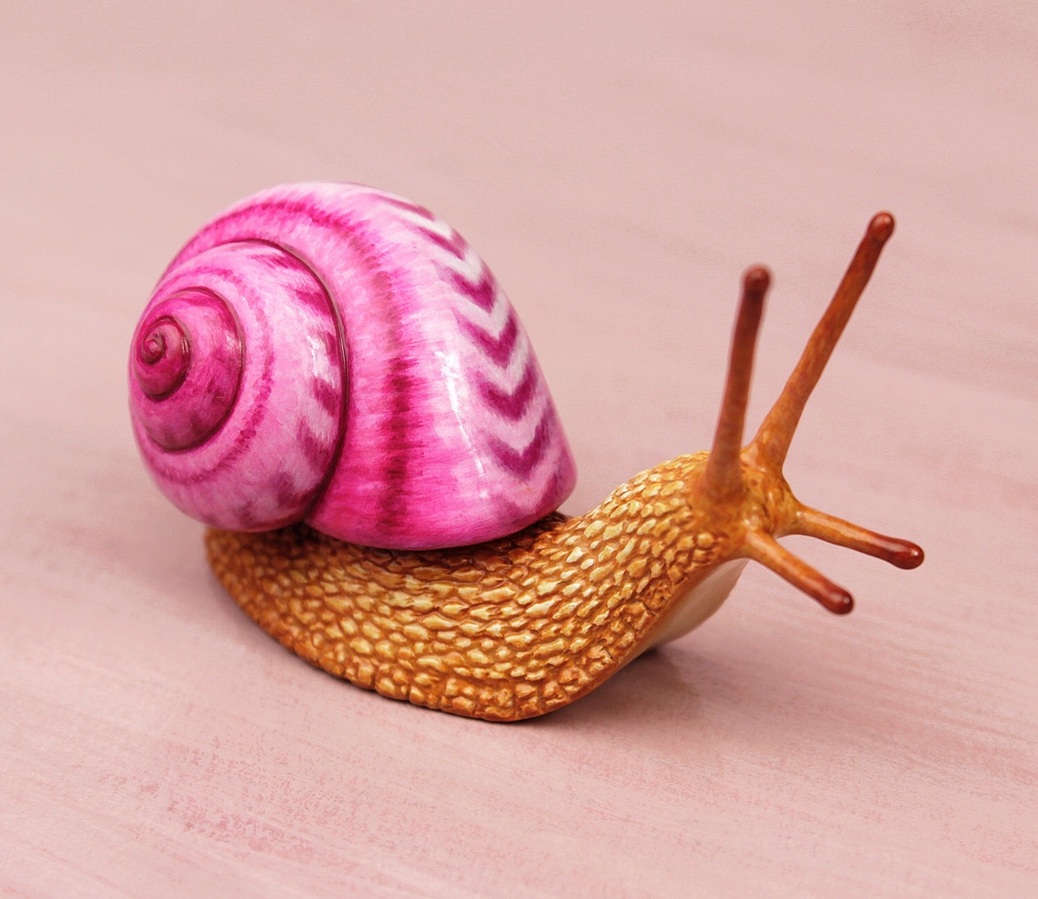Pink snail