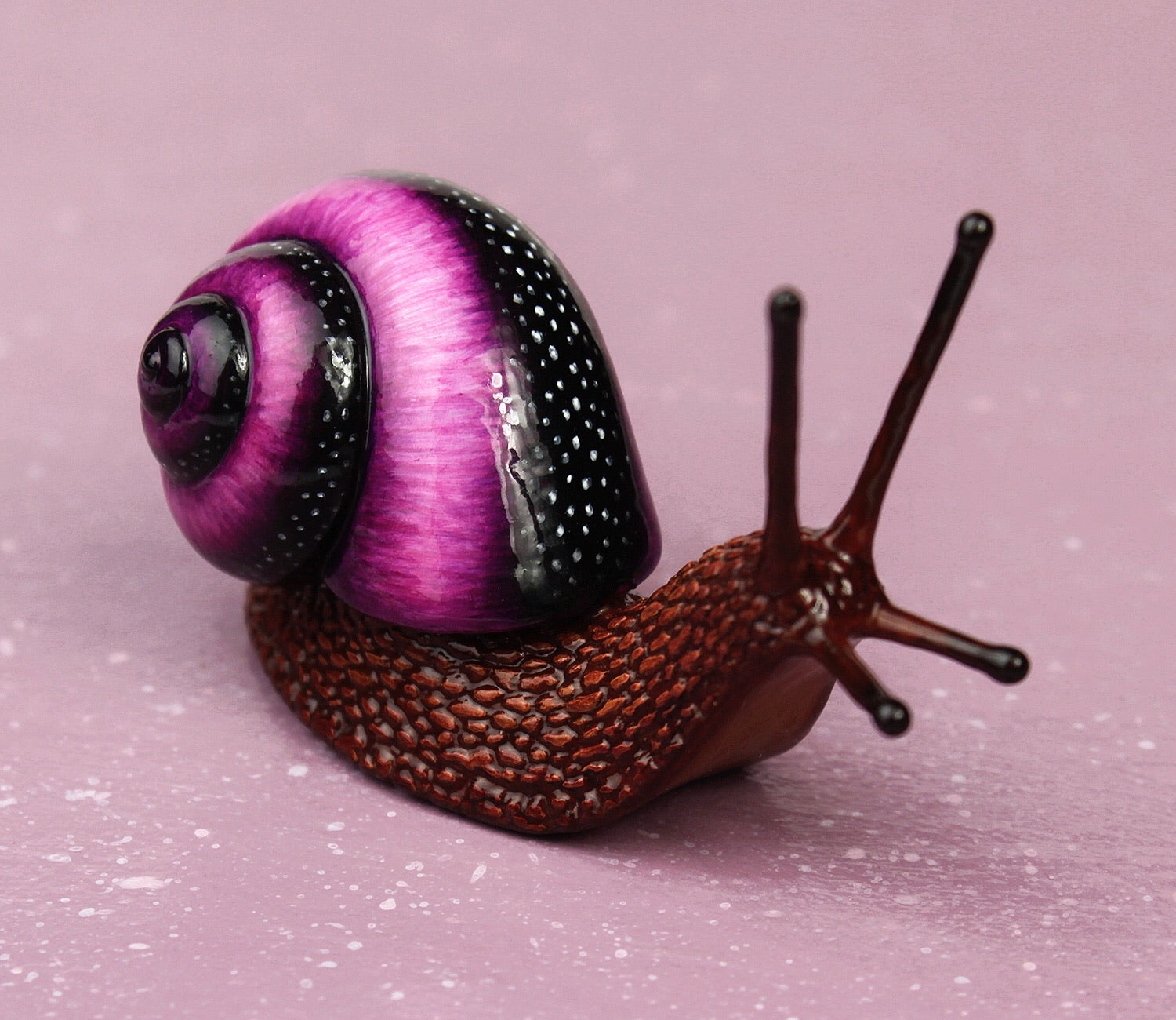 Purple snail