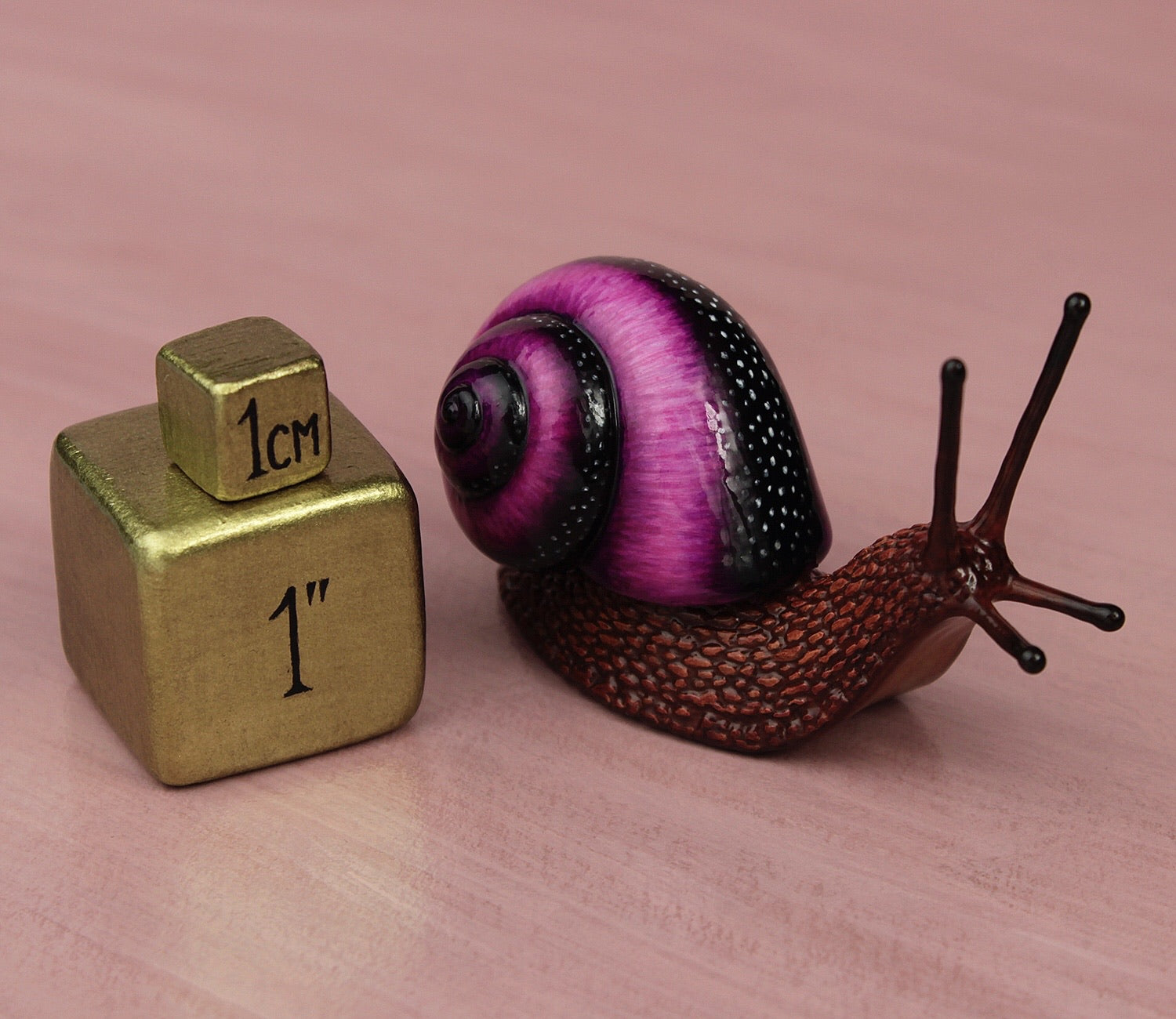 Purple snail